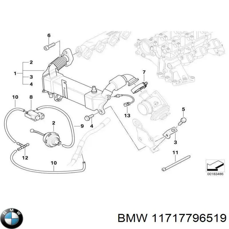 Comprar 11717796519 BMW Enfriador de recirculación de gases de escape EGR