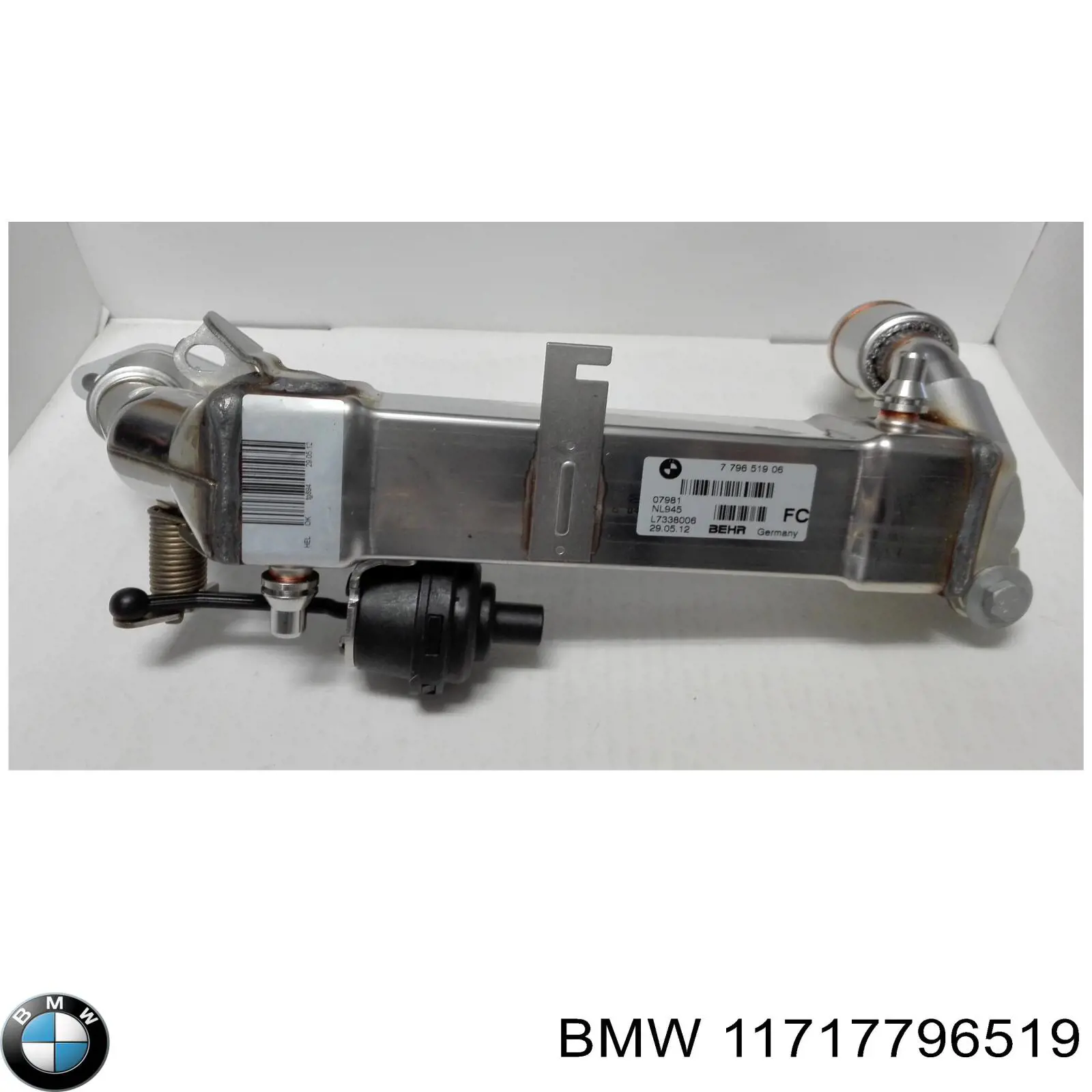 11717796519 BMW