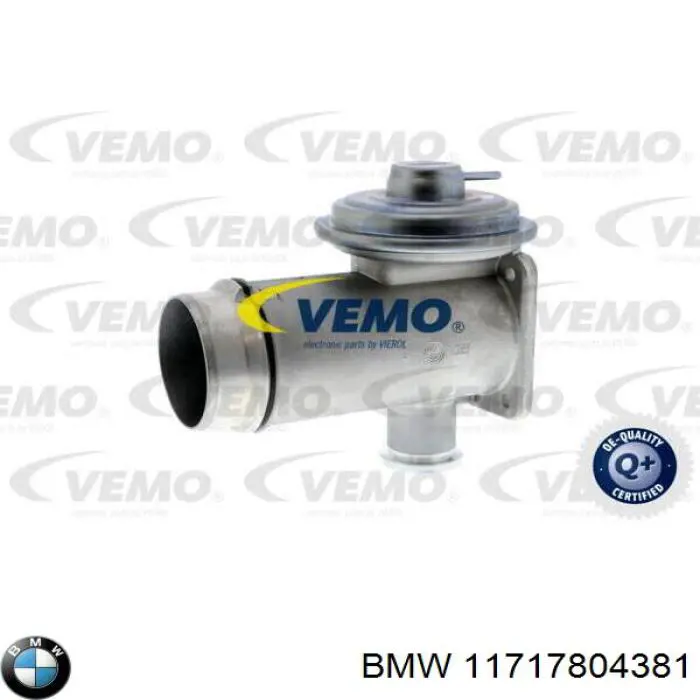 EGR BMW 11717804381