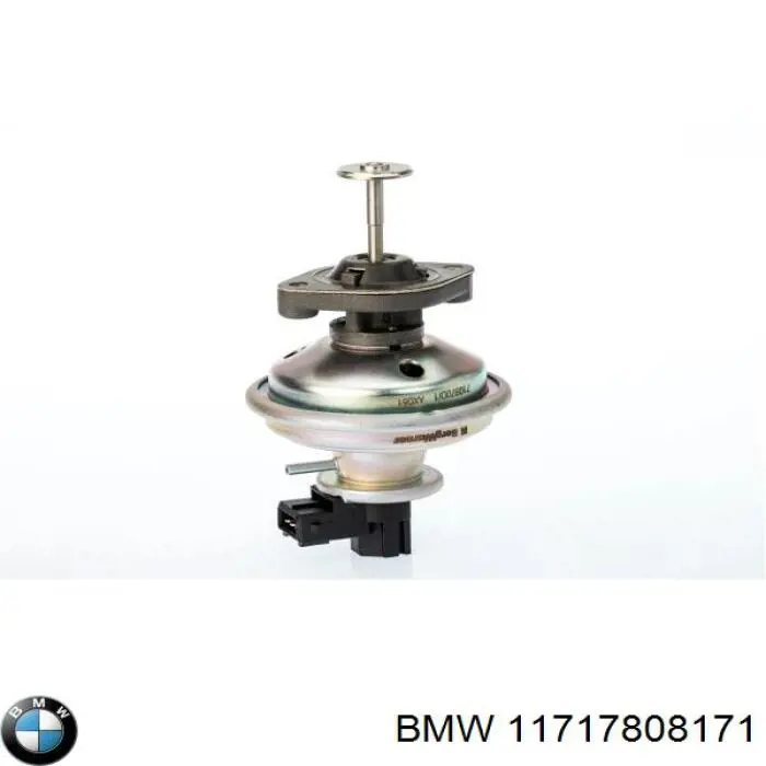 11717808171 BMW