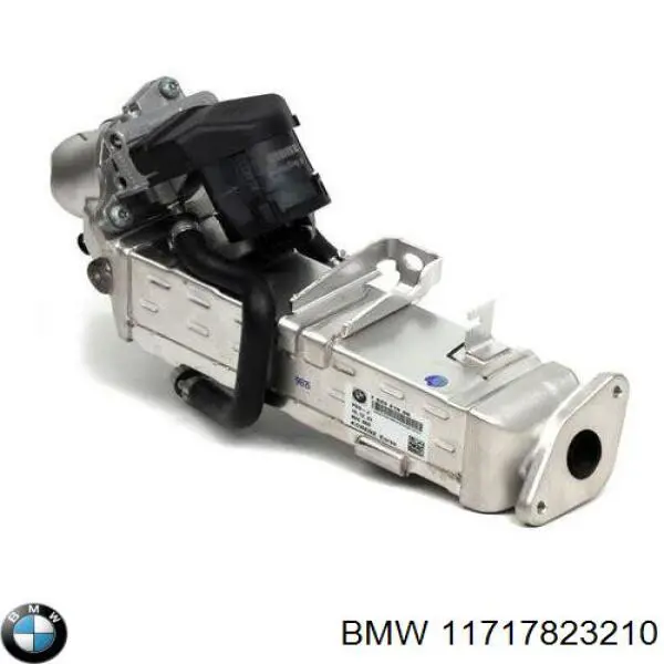 11717822350 BMW enfriador egr de recirculación de gases de escape