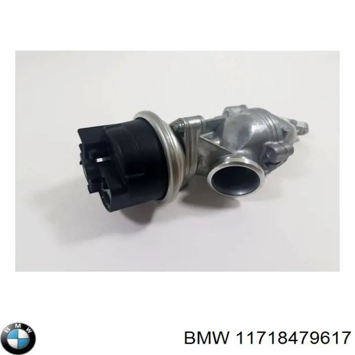 11718479617 BMW Válvula EGR