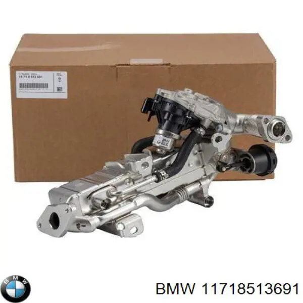 11718513691 BMW