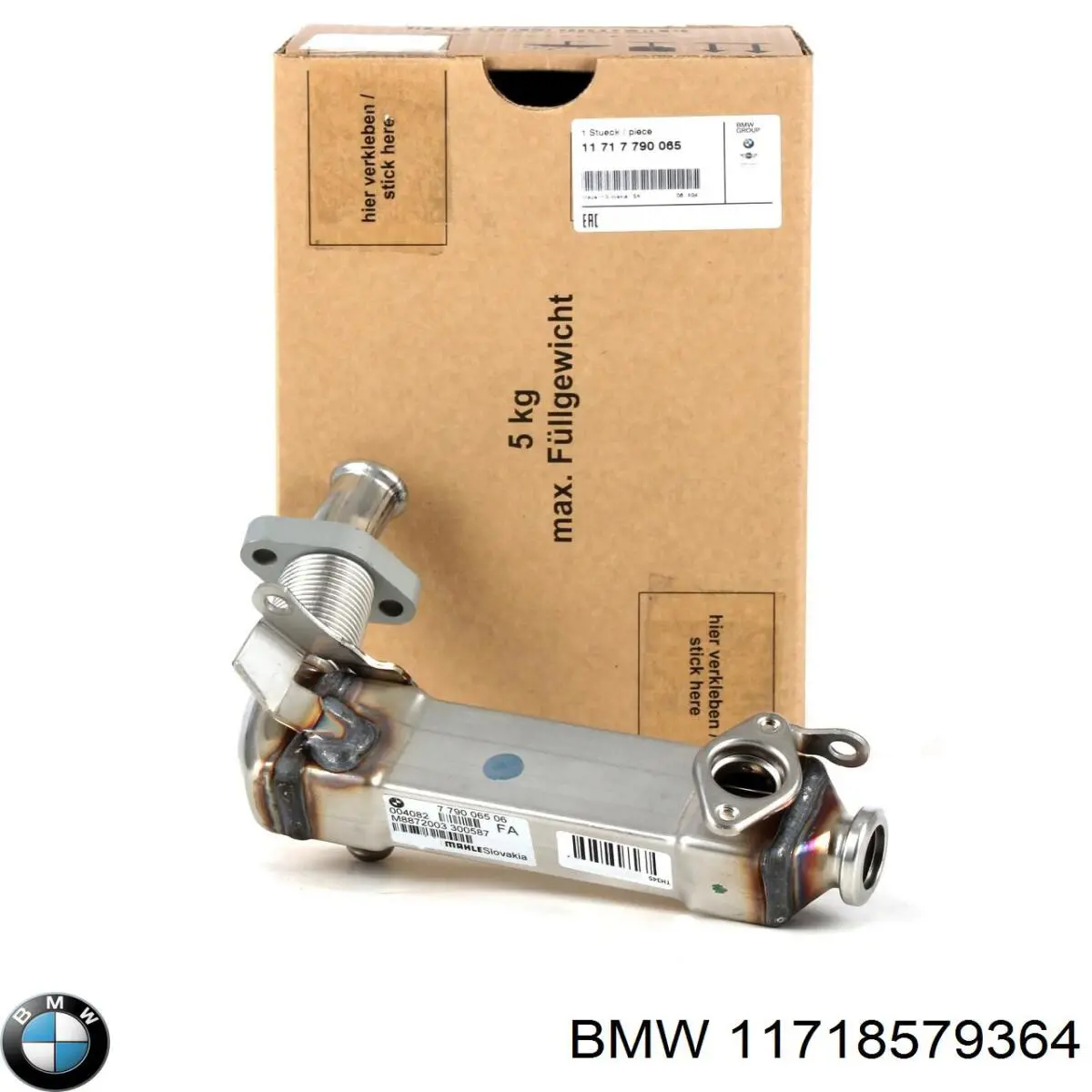 Junta de válvula EGR 11718579364 BMW