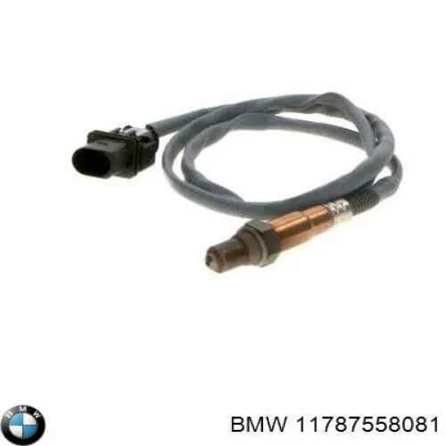 11787558081 BMW sonda lambda