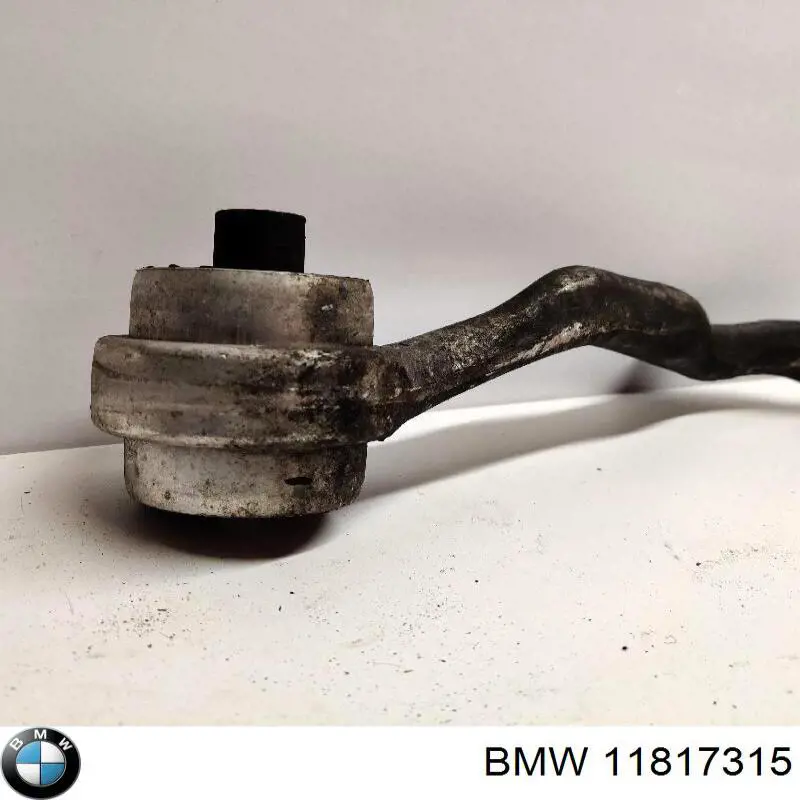 Comprar 11817315 BMW 