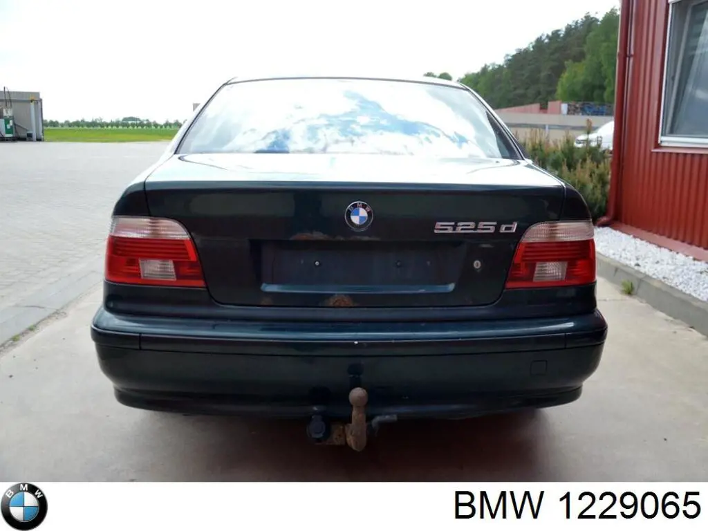 Comprar 1229065 BMW Acoplamiento elástico delantero del cardán