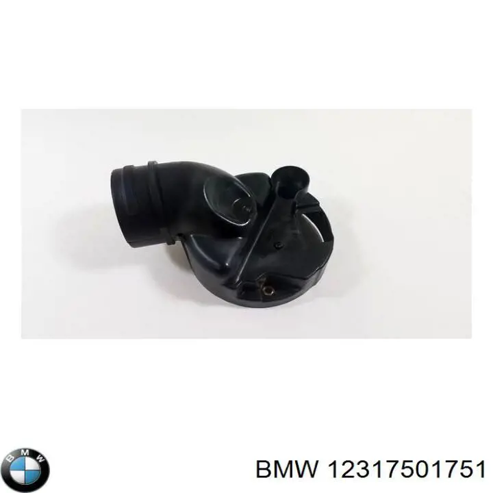 Comprar 12317501751 BMW 
