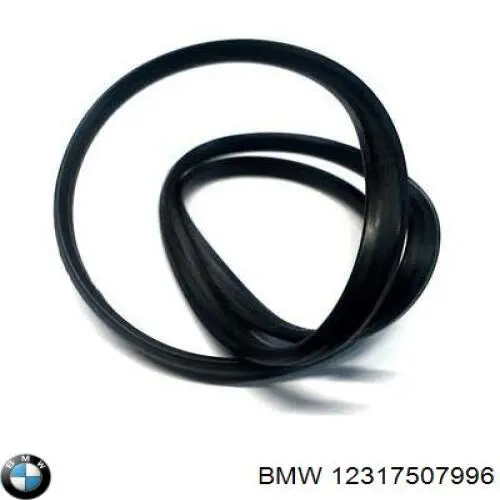 Comprar F00M258503 Bosch Junta (anillo) del generador con refrigeración por agua