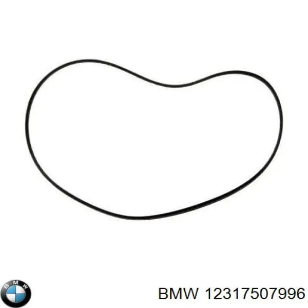12311435277 BMW junta (anillo Generador Refrigerado Por Agua)