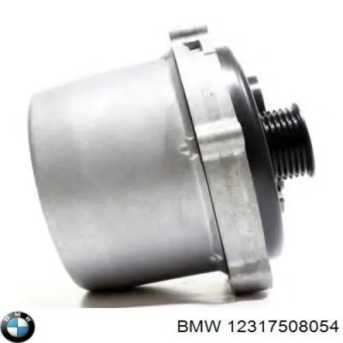 12317508054 BMW Alternador de coche