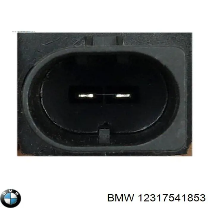 12317541853 BMW regulador de rele del generador (rele de carga)