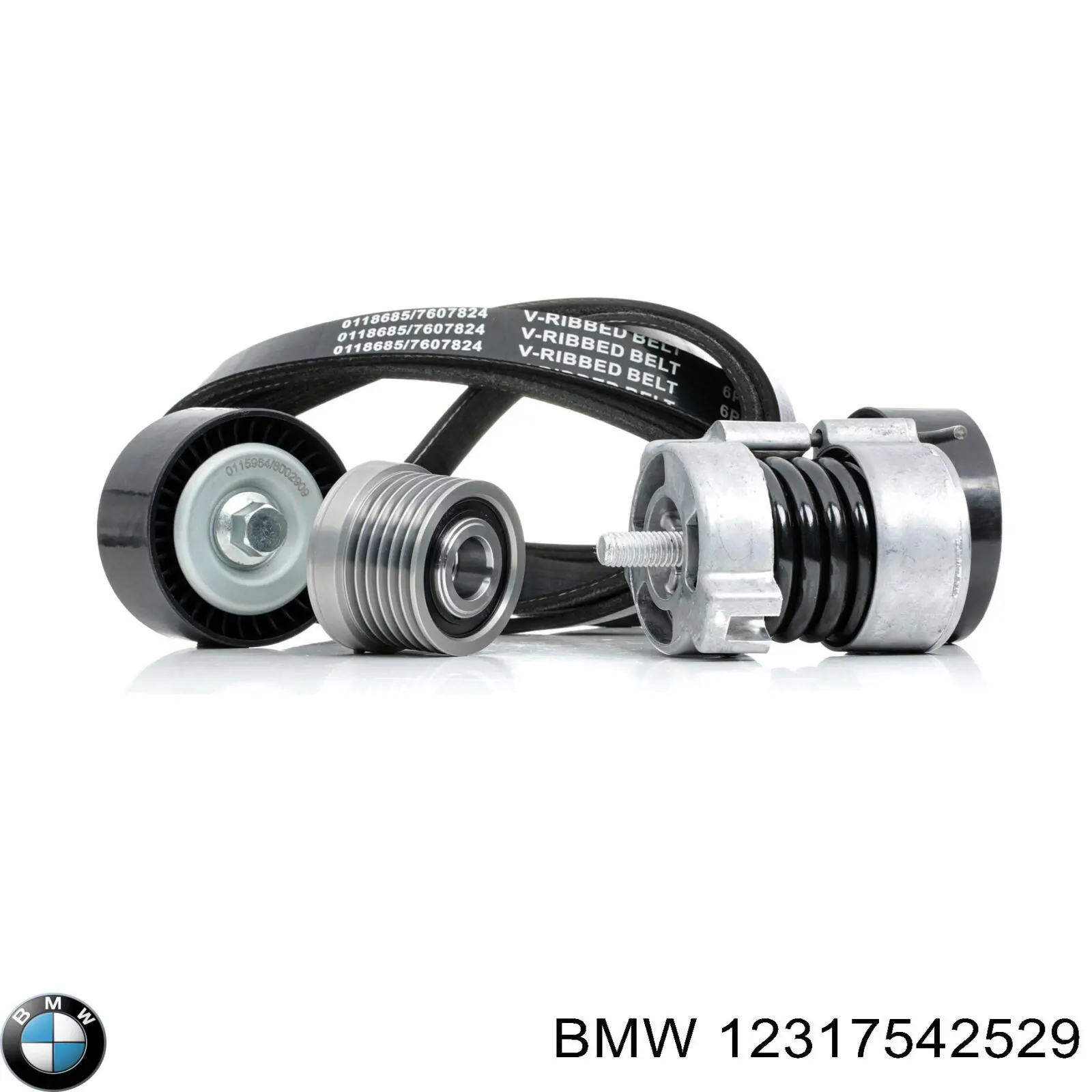 12317542529 BMW alternador