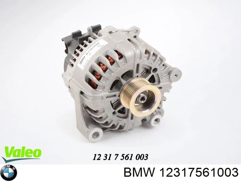 Comprar 12317561003 BMW Dynamo