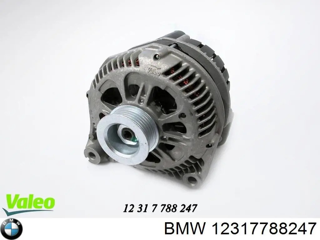 Alternador del motor BMW 12317788247 precio, desde 140,84 EUR