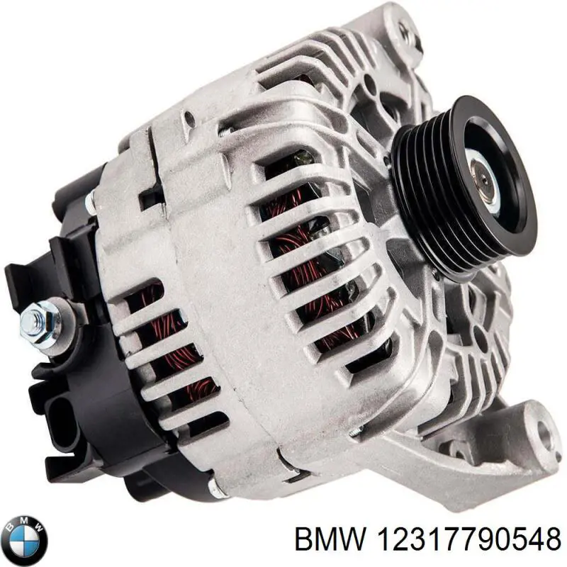 12317790548 BMW alternador