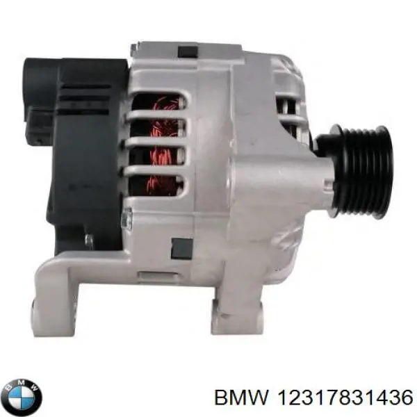 12317831436 BMW alternador