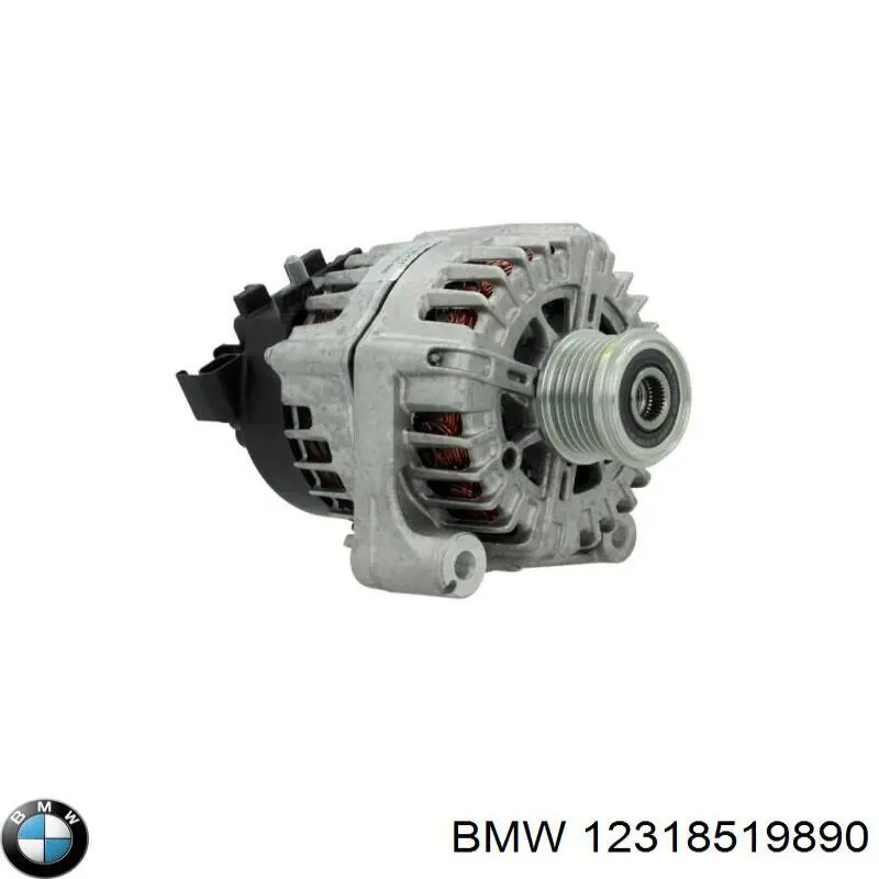 12318519890 BMW alternador