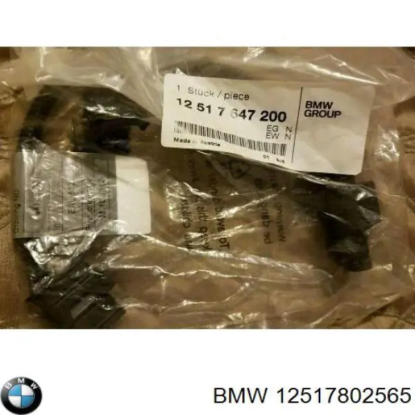 12517802565 BMW