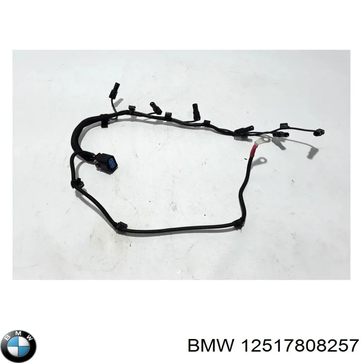 12517808257 BMW