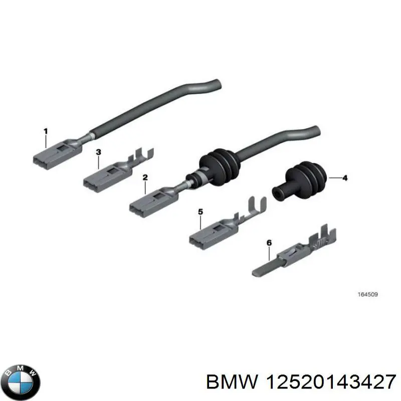 12520007170 BMW