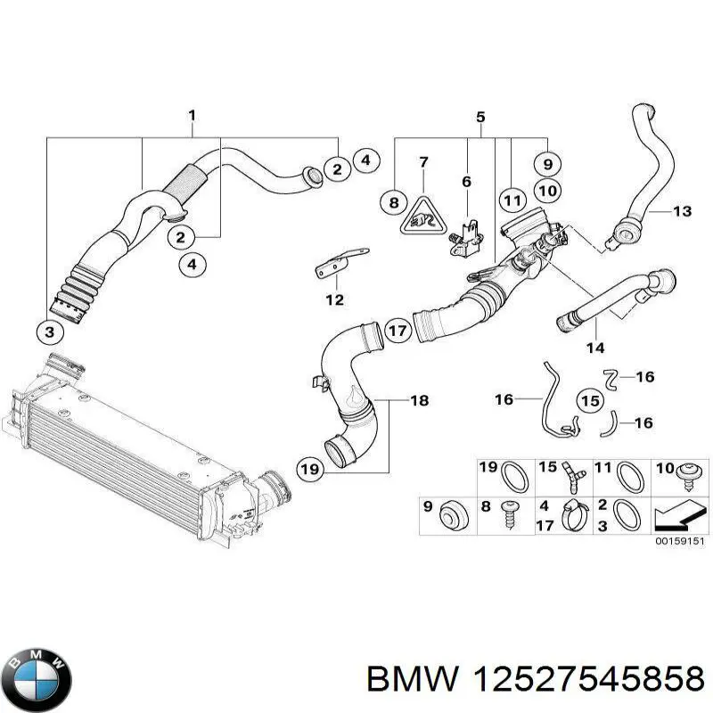 12527545858 BMW