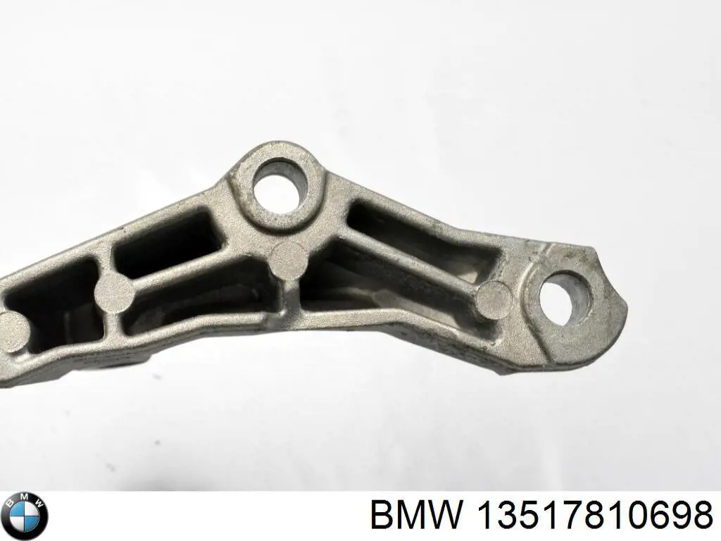Comprar 13517810697 BMW Bomba inyectora
