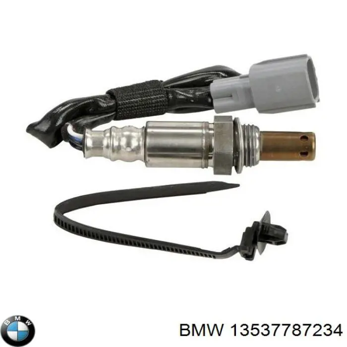 13537787234 BMW inyector