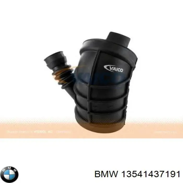13541437191 BMW tubo flexible de aspiración, cuerpo mariposa