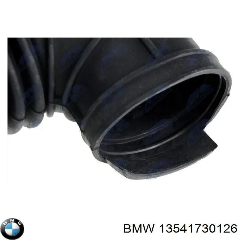 13541730126 BMW manguito, alimentación de aire