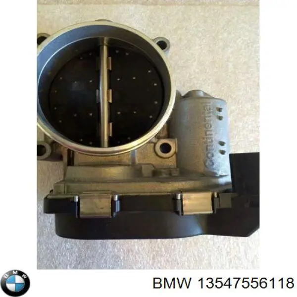 Cuerpo de mariposa 13547556118 BMW