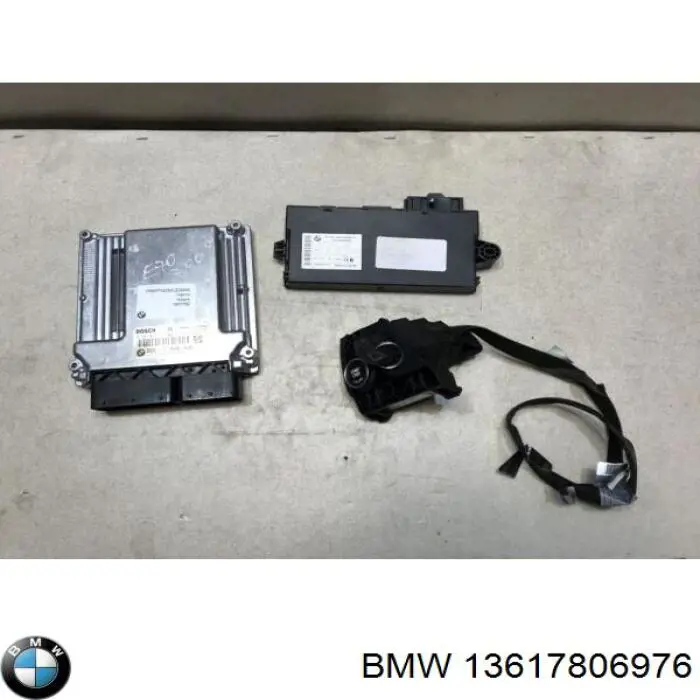 13617806976 BMW