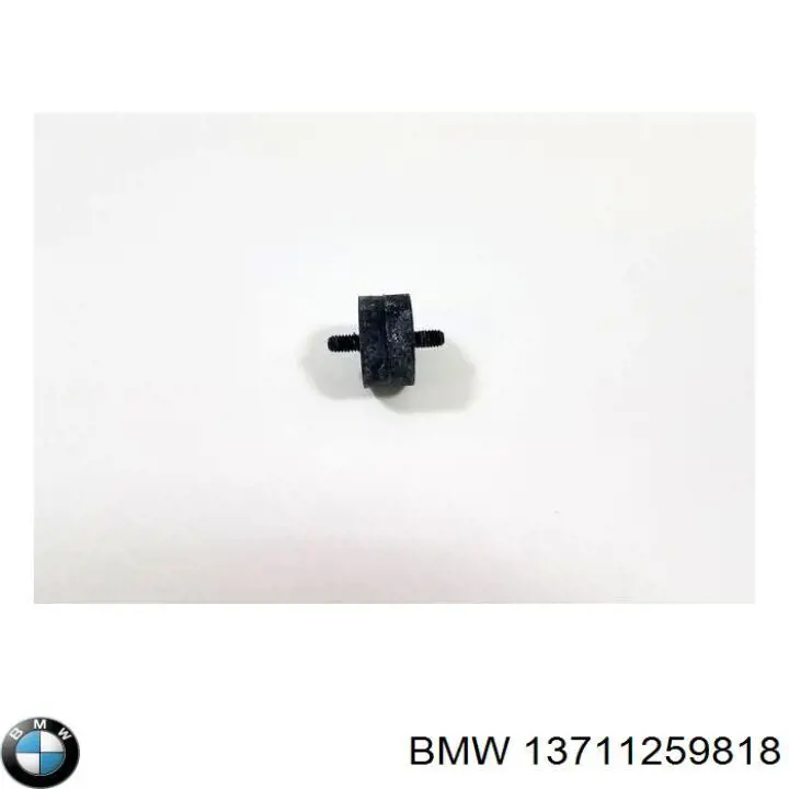 13711259818 BMW abrazadera de silenciador trasera