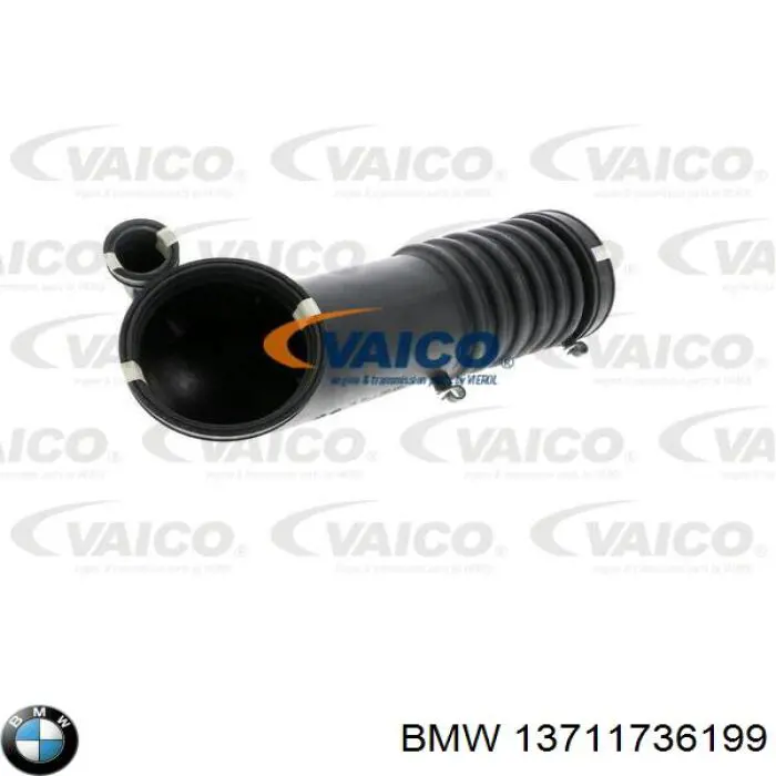 13711736199 BMW manguito, alimentación de aire