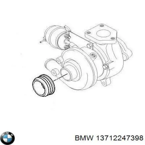 Anillo del conducto de salida de la carcasa del filtro de aire BMW 13712247398