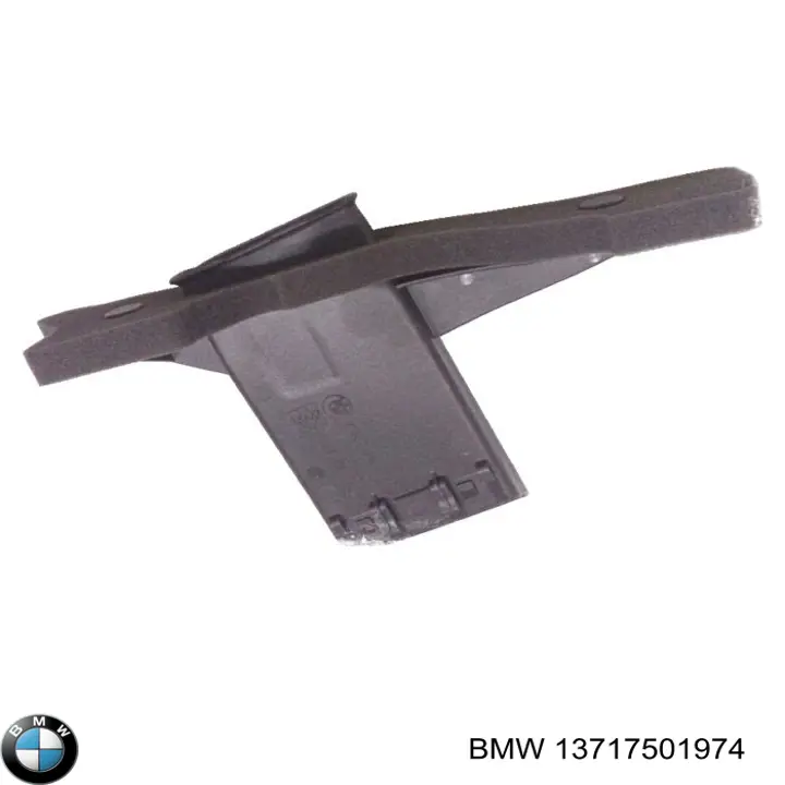 Comprar 13717501974 BMW Entrada del filtro de aire