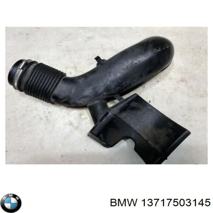 13717503145 BMW