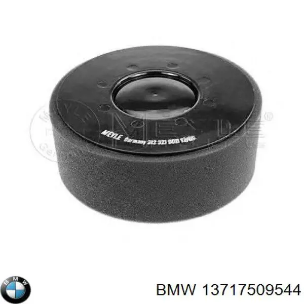 13717509544 BMW filtro de aire