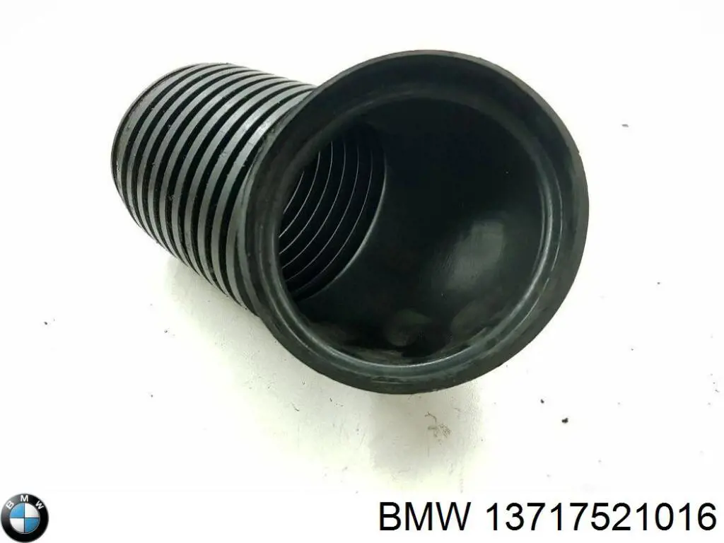 13717521016 BMW Tubo flexible de aspiración, filtro de aire
