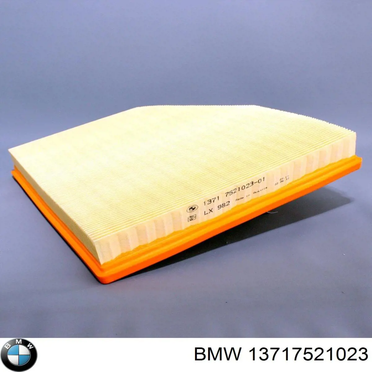 13717521023 BMW filtro de aire