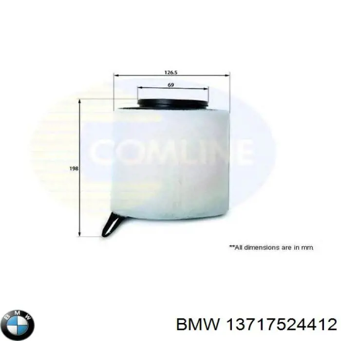 Filtro aire BMW 13717524412