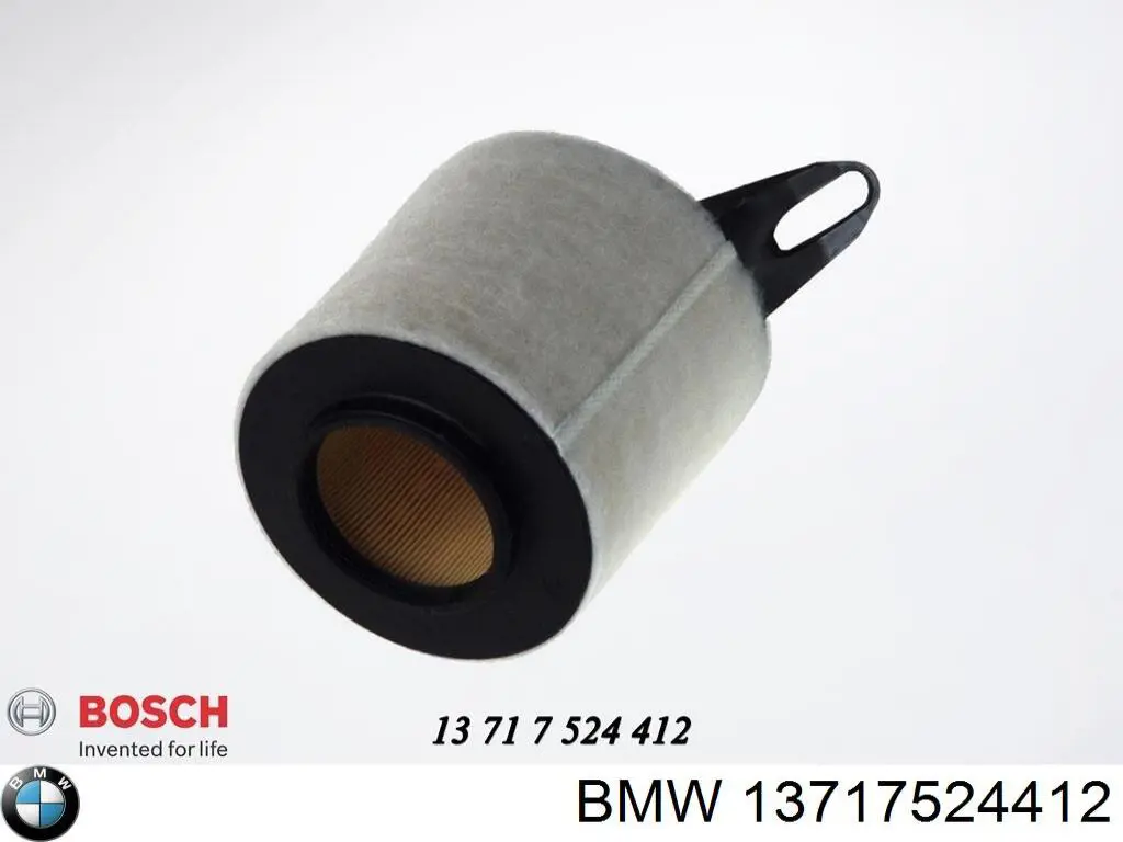 13717524412 BMW filtro de aire