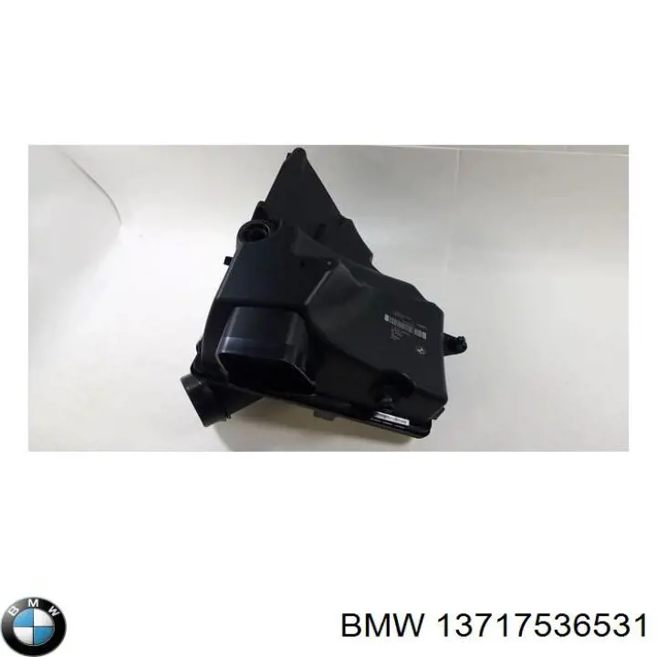 13717536531 BMW