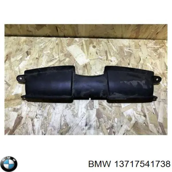 13717541738 BMW entrada del filtro de aire