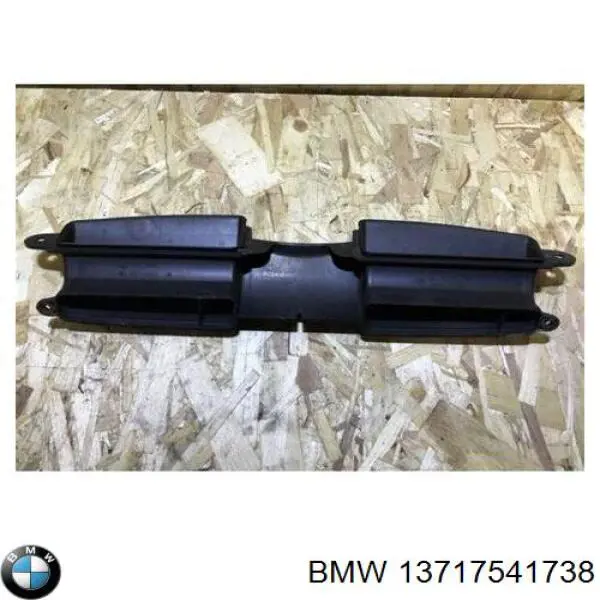 Comprar 13717541738 BMW Entrada del filtro de aire