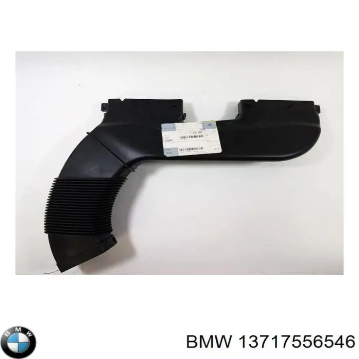 13717556546 BMW