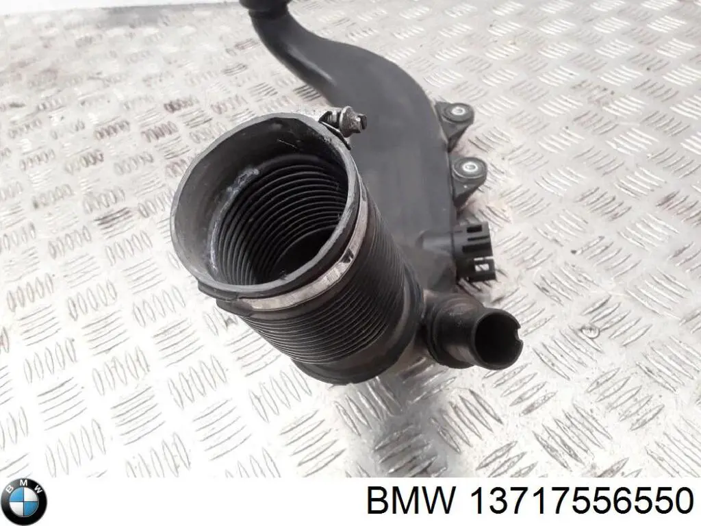 13717556550 BMW manguito, alimentación de aire