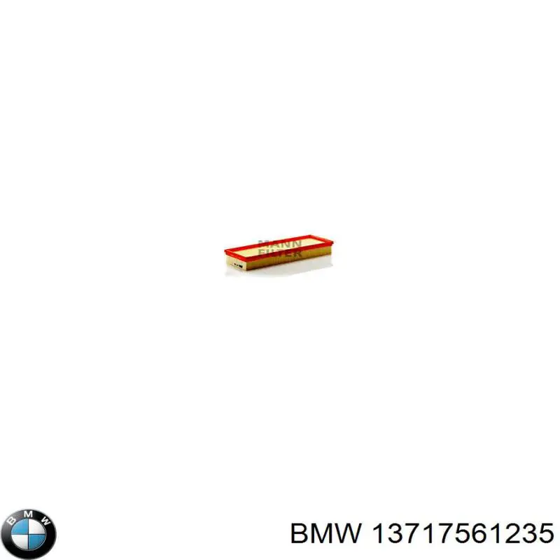 Filtro aire BMW 13717561235