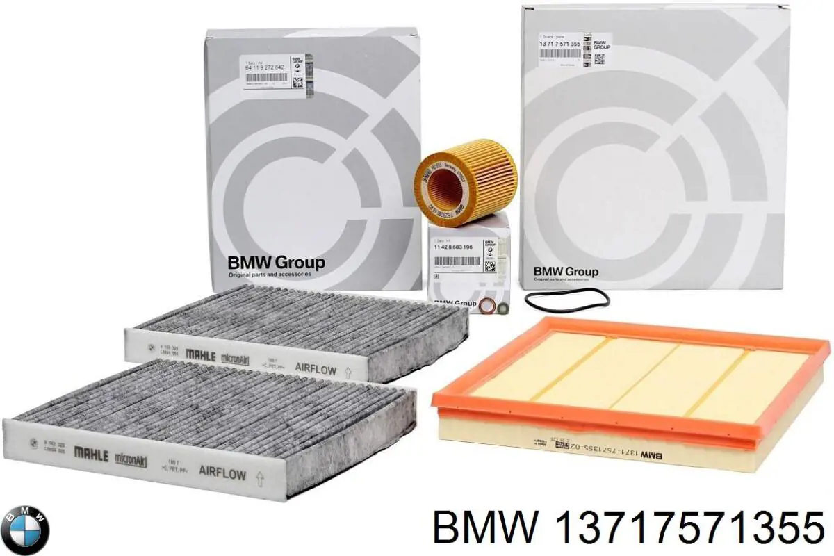 13717571355 BMW Filtro de aire de motor