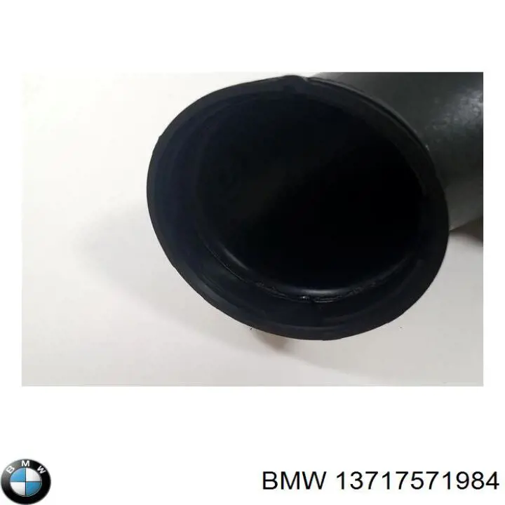 13717571984 BMW